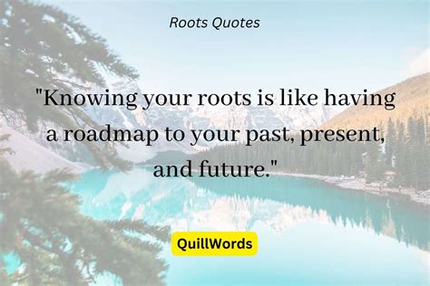 100 Best Don't Forget Your Roots Quotes - QuillWords