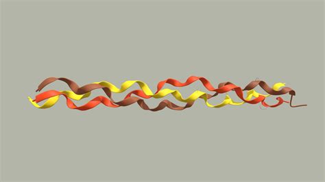 Collagen Molecular Structure - Download Free 3D model by S.Duce (@sduce) [3ae1f77] - Sketchfab