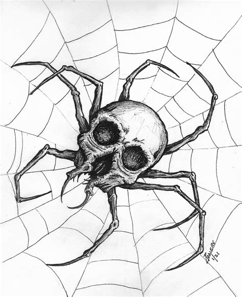 Spider Skull Drawing