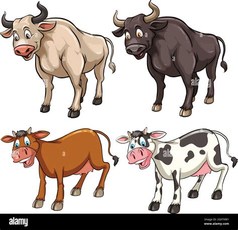 Diferentes tipos de vacas Imagen Vector de stock - Alamy