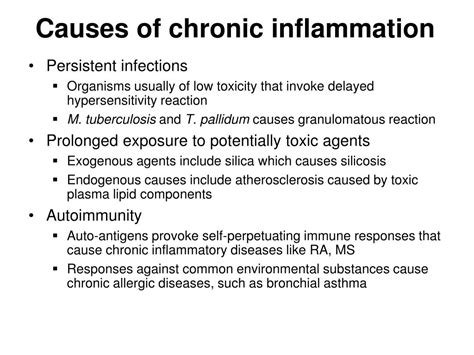 PPT - Chronic Inflammation and Mediators PowerPoint Presentation, free download - ID:5782846