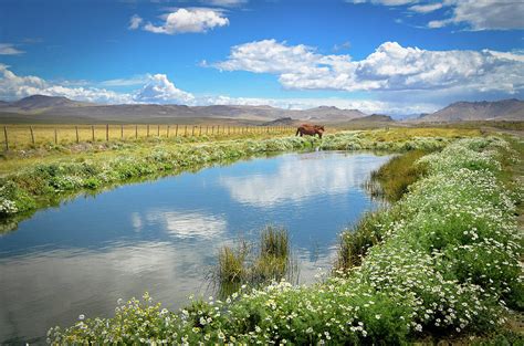 Patagonia Landscape by Marcos Radicella