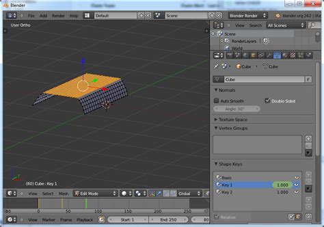 location of vertexes while using Shape Keys - Animation and Rigging ...