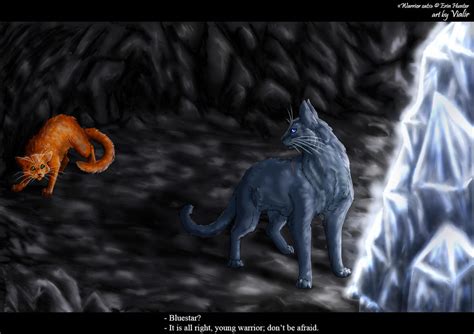 Firepaw and Bluestar by Vialir on DeviantArt