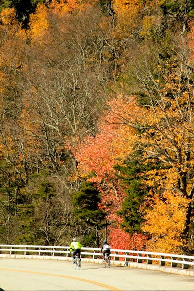 Wings & Wildflowers: Fall Foliage in Asheville, NC