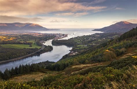 Carlingford Lough View