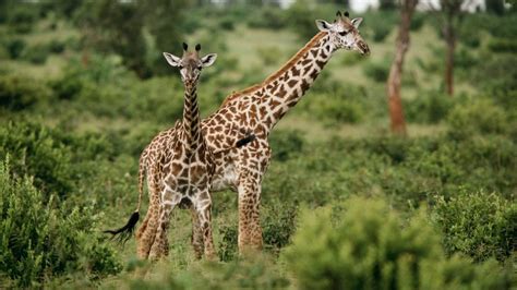 Arusha National Park