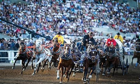 Calgary Stampede - Calgary Stampede | Groupon