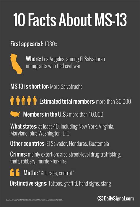 Trump’s Promised Crackdown on MS-13, Explained