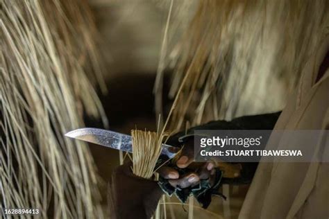 Kasubi Tombs Photos and Premium High Res Pictures - Getty Images