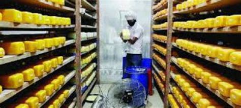 Cheese Making Process - Do you know how to make cheese? - Making Process