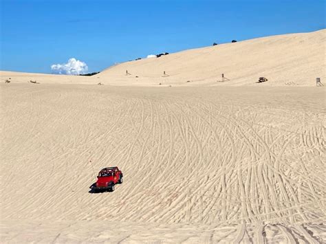 Sand Dunes Michigan: 8 Epic Dune Systems to Climb, Hike & Explore - grkids.com