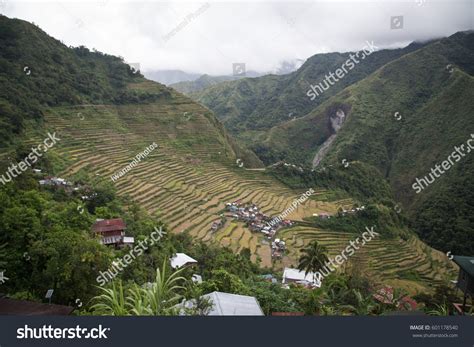 Batad Rice Terraccs Banaue Rice Terraces Stock Photo 601178540 ...