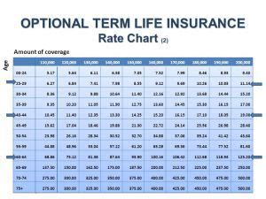 Term Life Insurance Prices > BURSAHAGA.COM