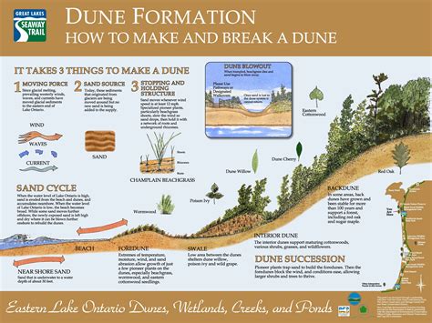 EASTERN LAKE ONTARIO DUNES AND WETLANDS AREA