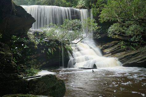 National Parks of New South Wales. - Holiday From Where