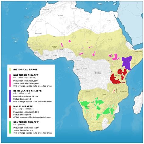 The Problem | Save Giraffes Now | Why Giraffes? Why Now?