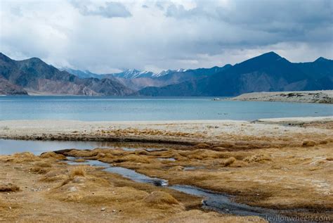 Pangong Tso Lake in Ladakh - Complete Travel Guide