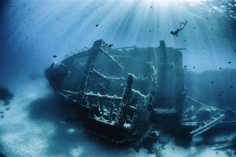 Do Shipwrecks Help or Harm Marine Life?