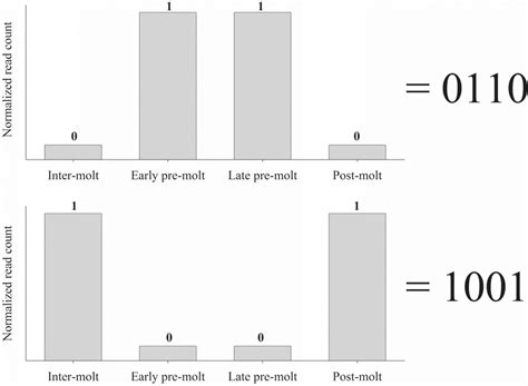 Two representative examples of the binary patterns code used in our... | Download Scientific Diagram