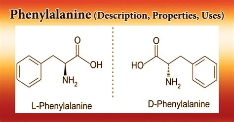 Phenylalanine (Description, Properties, Uses) - Assignment Point