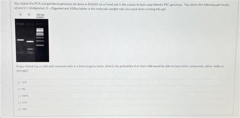 You repeat the PCR and gel electrophoresis lab done | Chegg.com