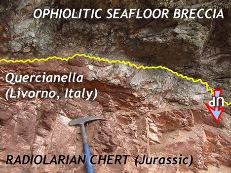 7.3: Foundational Concepts of Historical Geology - Geosciences LibreTexts