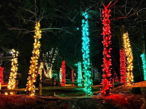 Stone Zoo Holiday ZooLights — Stephen Grant Photography