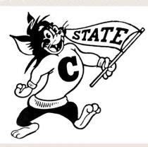 Chico State Wildcats Retro Sports, Sports Art, Vintage Sports, Sports Logos, Vintage Graphic ...