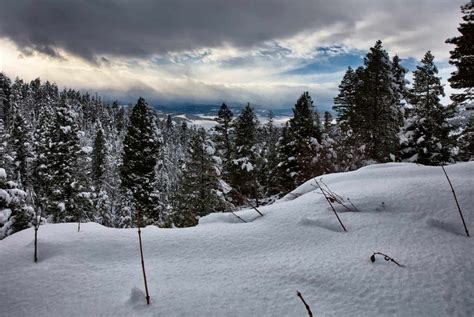 Photograph of a snow covered Gallatin National Forest Montana.