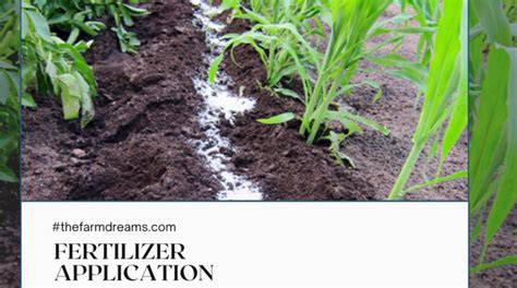 Fertilizer Application - The Basic Principles That Every Farmer Must Know. - thefarmdreams.com