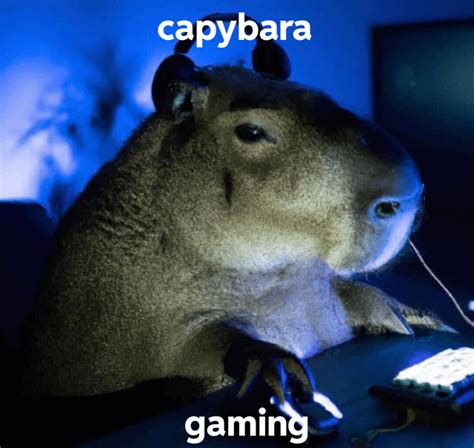 an epic gamer : r/capybara