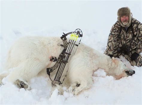 Canadian Arctic Polar Bear Hunt - Ameri-Cana Expeditions