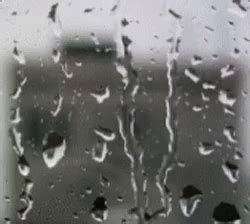 Rain Mood GIF - Rain Mood - Discover & Share GIFs