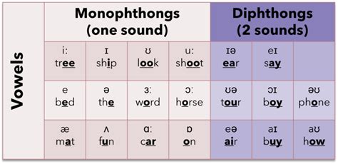 Perbedaan Vowel Dan Consonant Blends Anchor - IMAGESEE