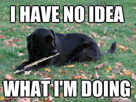 The 10 worst things about playing the flute - Classic FM