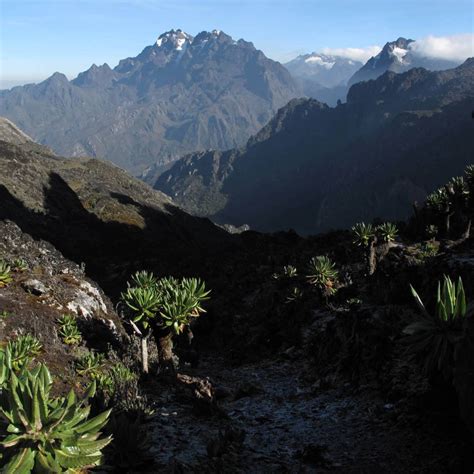 Uganda Rwenzori Mountains Trek | Mountains of the Moon Hike | World Expeditions