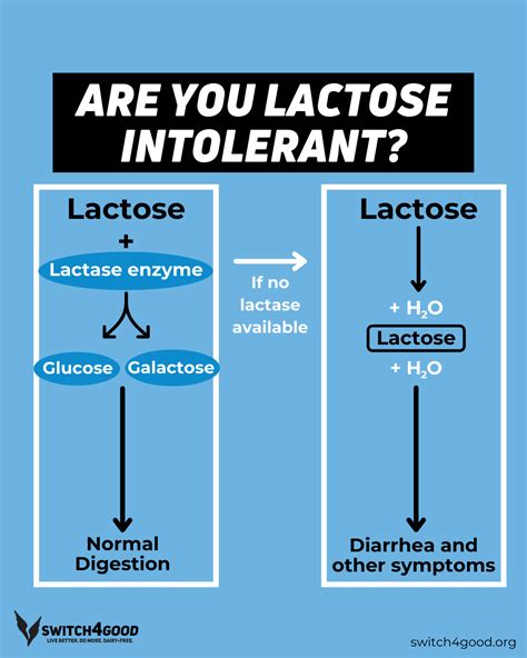 Lactose Intolerance: Symptoms, Causes, and Treatment - Switch4Good in ...