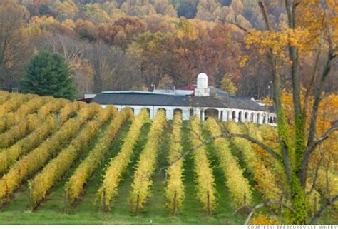 Take a wine-tasting trip? 10 buzzworthy wineries - Barboursville Vineyards (9) - CNNMoney