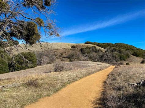 Where To Hike In San Diego? Here Are Our Top 6 Trails In SD!