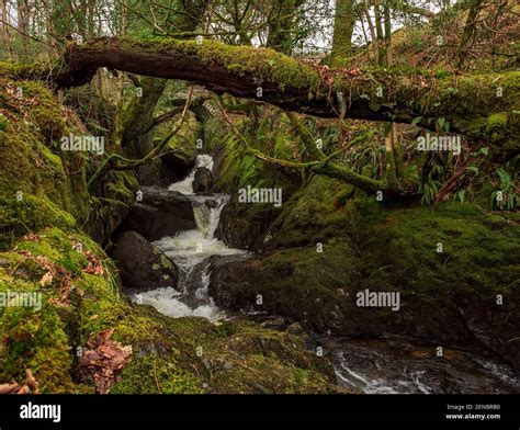 Waterfall Galloway forest park, Scotland Stock Photo - Alamy