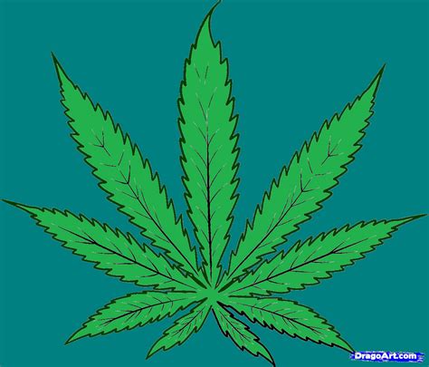 how-to-draw-cannabis,-cannabis-leaf-step-4A by bigkrocks on DeviantArt