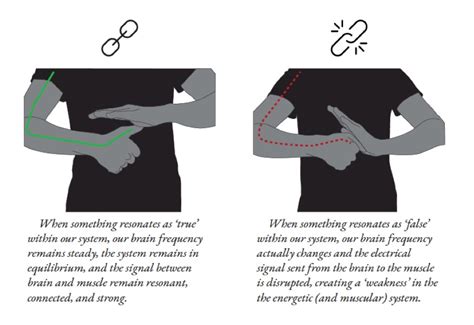 Muscle Testing (Applied Kinesiology ) - Rapid Transformations