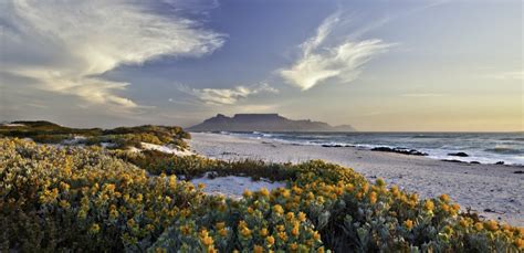 Inspired Travel: Hiking Table Mountain in Cape Town, | ShermansTravel