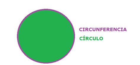 Partes del círculo y la circunferencia - Mind Map