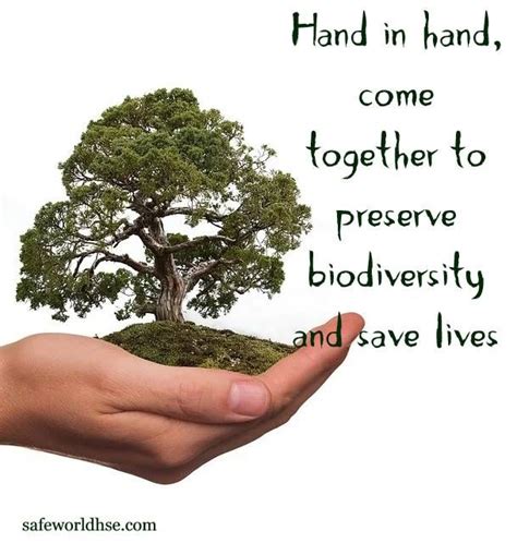 World Environment Day 2020: Best slogans, images, and posters on ...