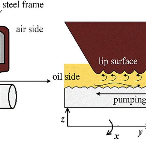 Schematic of a typical rotary lip seal. | Download Scientific Diagram