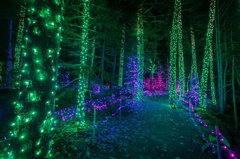 Gardens Aglow 2018 opens | Boothbay Register