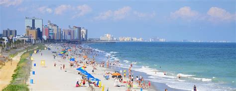 Best Pet Friendly Hotels in Myrtle Beach from $49/night - KAYAK