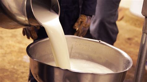 Why Some States Want To Legalize Raw Milk Sales : The Salt : NPR